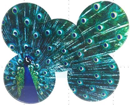 Peacock Peacock