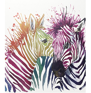 Rainbow Zebra Rainbow Zebra