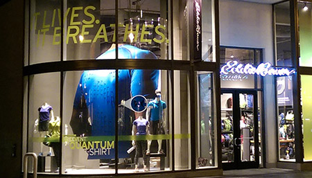 Large Window Display